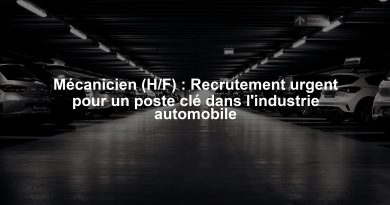 Mécanicien (H/F) : Recrutement urgent pour un poste clé dans l'industrie automobile