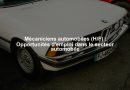 Mécaniciens automobiles (H/F) : Opportunités d'emploi dans le secteur automobile