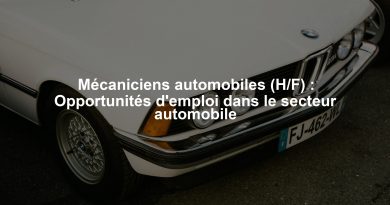 Mécaniciens automobiles (H/F) : Opportunités d'emploi dans le secteur automobile