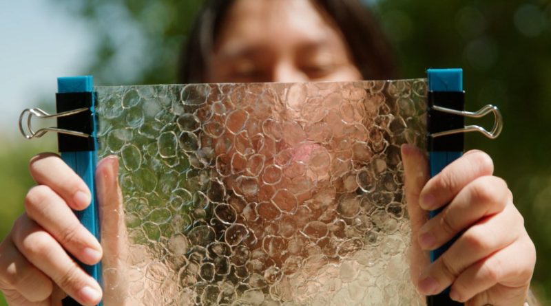 Un étudiant du MIT transforme les déchets de l'industrie de la pêche en plastique biodégradable.