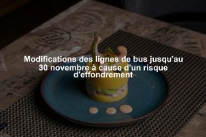 Modifications des lignes de bus jusqu'au 30 novembre à cause d'un risque d'effondrement