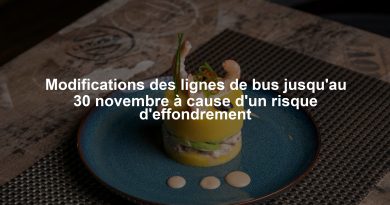 Modifications des lignes de bus jusqu'au 30 novembre à cause d'un risque d'effondrement