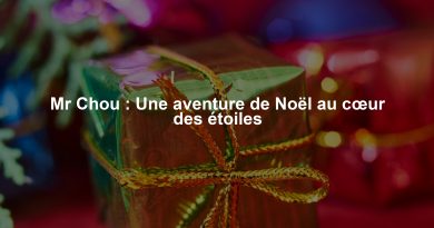 Mr Chou : Une aventure de Noël au cœur des étoiles