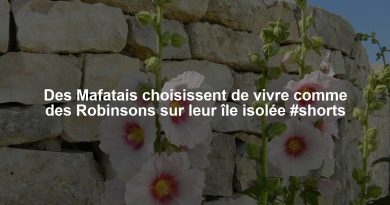 Des Mafatais choisissent de vivre comme des Robinsons sur leur île isolée #shorts