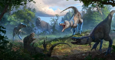 Une bataille préhistorique redéfinit l'histoire du T. rex.