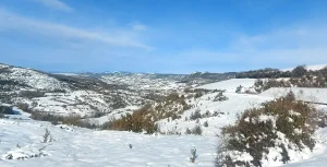 Ambiance glaciale en Aveyron : début de semaine marqué par la grisaille