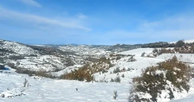 Ambiance glaciale en Aveyron : début de semaine marqué par la grisaille