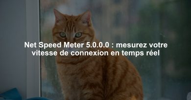 Net Speed Meter 5.0.0.0 : mesurez votre vitesse de connexion en temps réel