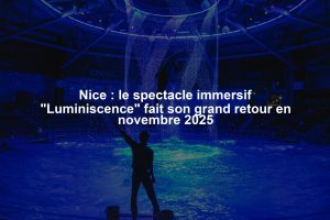 Nice : le spectacle immersif "Luminiscence" fait son grand retour en novembre 2025
