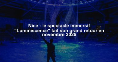 Nice : le spectacle immersif "Luminiscence" fait son grand retour en novembre 2025