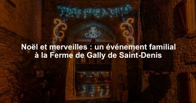 Noël et merveilles : un événement familial à la Ferme de Gally de Saint-Denis