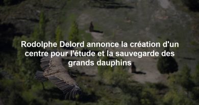 Rodolphe Delord annonce la création d'un centre pour l'étude et la sauvegarde des grands dauphins
