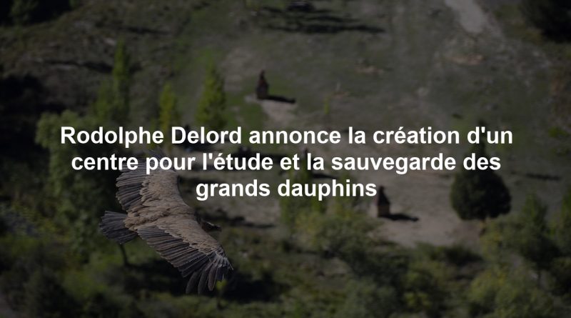 Rodolphe Delord annonce la création d'un centre pour l'étude et la sauvegarde des grands dauphins