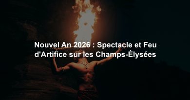 Nouvel An 2026 : Spectacle et Feu d'Artifice sur les Champs-Élysées