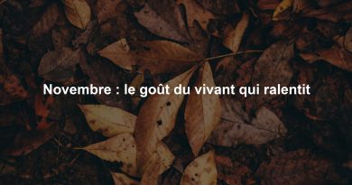 Novembre : le goût du vivant qui ralentit