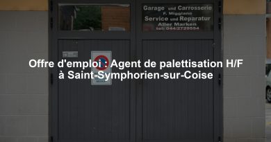 Offre d'emploi : Agent de palettisation H/F à Saint-Symphorien-sur-Coise