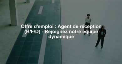 Offre d'emploi : Agent de réception (H/F/D) - Rejoignez notre équipe dynamique