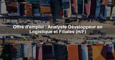 Offre d'emploi : Analyste Développeur en Logistique et Filiales (H/F)