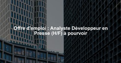 Offre d'emploi : Analyste Développeur en Presse (H/F) à pourvoir