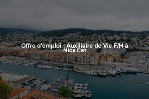 Offre d'emploi : Auxiliaire de Vie F/H à Nice Est