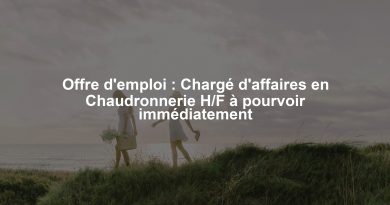 Offre d'emploi : Chargé d'affaires en Chaudronnerie H/F à pourvoir immédiatement