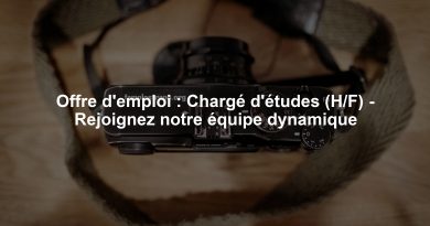 Offre d'emploi : Chargé d'études (H/F) - Rejoignez notre équipe dynamique