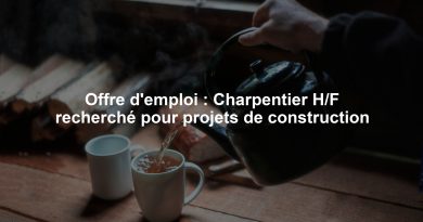 Offre d'emploi : Charpentier H/F recherché pour projets de construction