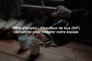 Offre d'emploi : Chauffeur de bus (H/F) recherché pour intégrer notre équipe