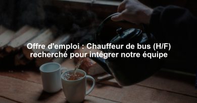 Offre d'emploi : Chauffeur de bus (H/F) recherché pour intégrer notre équipe