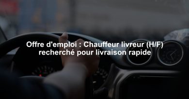 Offre d'emploi : Chauffeur livreur (H/F) recherché pour livraison rapide