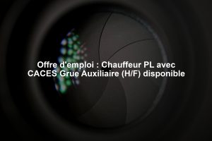 Offre d'emploi : Chauffeur PL avec CACES Grue Auxiliaire (H/F) disponible