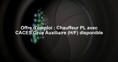 Offre d'emploi : Chauffeur PL avec CACES Grue Auxiliaire (H/F) disponible