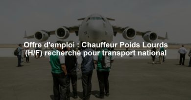 Offre d'emploi : Chauffeur Poids Lourds (H/F) recherché pour transport national