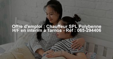 Offre d'emploi : Chauffeur SPL Polybenne H/F en intérim à Tarnos - Réf : 065-294406