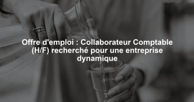 Offre d'emploi : Collaborateur Comptable (H/F) recherché pour une entreprise dynamique