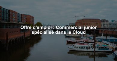 Offre d'emploi : Commercial junior spécialisé dans le Cloud