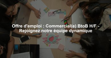 Offre d'emploi : Commercial(e) BtoB H/F - Rejoignez notre équipe dynamique