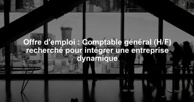 Offre d'emploi : Comptable général (H/F) recherché pour intégrer une entreprise dynamique