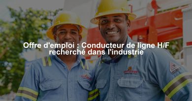 Offre d'emploi : Conducteur de ligne H/F recherché dans l'industrie