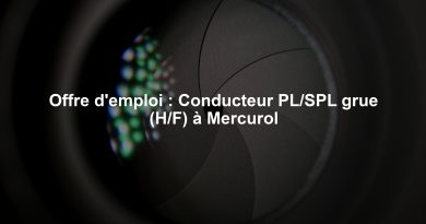 Offre d'emploi : Conducteur PL/SPL grue (H/F) à Mercurol