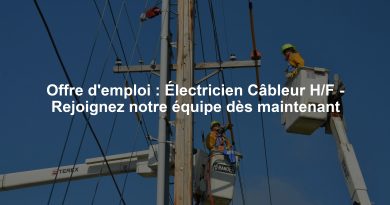 Offre d'emploi : Électricien Câbleur H/F - Rejoignez notre équipe dès maintenant