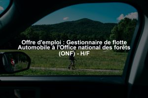 Offre d'emploi : Gestionnaire de flotte Automobile à l'Office national des forêts (ONF) - H/F