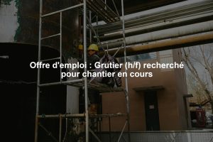Offre d'emploi : Grutier (h/f) recherché pour chantier en cours