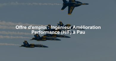 Offre d'emploi : Ingénieur Amélioration Performance (H/F) à Pau