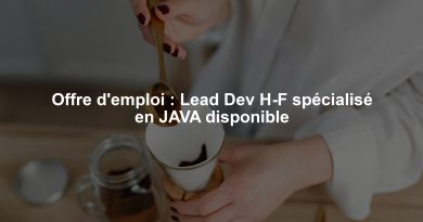 Offre d'emploi : Lead Dev H-F spécialisé en JAVA disponible