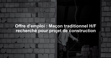 Offre d'emploi : Maçon traditionnel H/F recherché pour projet de construction