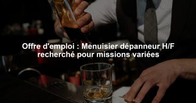 Offre d'emploi : Menuisier dépanneur H/F recherché pour missions variées