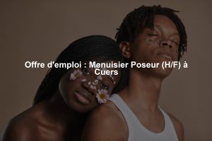 Offre d'emploi : Menuisier Poseur (H/F) à Cuers