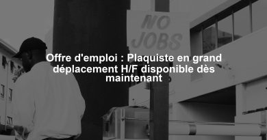 Offre d'emploi : Plaquiste en grand déplacement H/F disponible dès maintenant