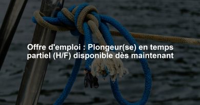 Offre d'emploi : Plongeur(se) en temps partiel (H/F) disponible dès maintenant